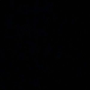 Meet your Posher, Otilia